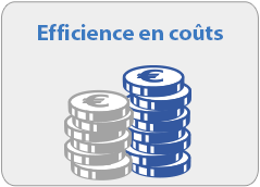 Efficience en coûts